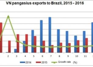 PANGASIUS EXPORTS TO BRAZIL ROSE BY 17.2%