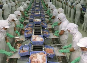 Vietnam faces shutdown in US pangasius sales after effort to repeal catfish regulation fails