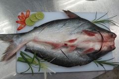 Pangasius Butterfly Fillet